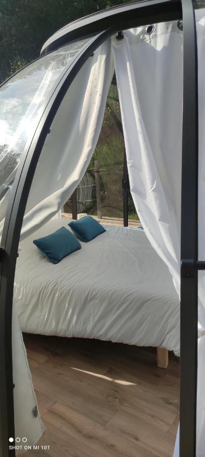 Les Perles Catalanes Bed & Breakfast Vinca Екстериор снимка